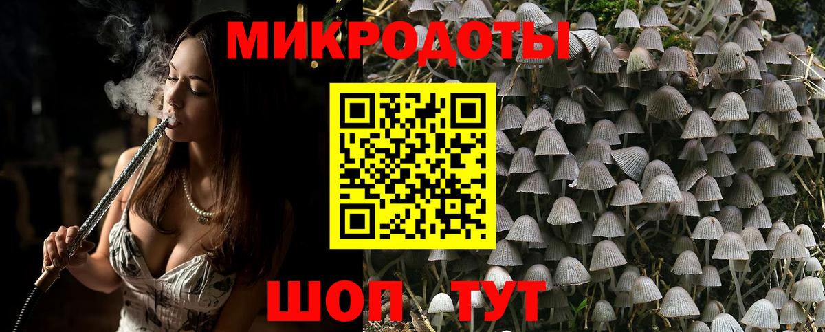 Псилоцибиновые грибы мицелий  Вход с VPN  Нефтекумск 